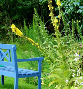 gardening 101 relax in the garden